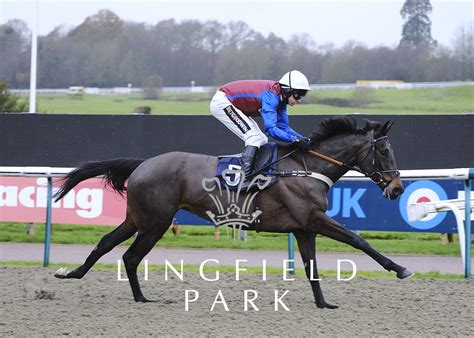 lingfield park results today.